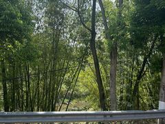 -华蓥山天意谷景区