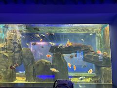 -石家庄海洋公园