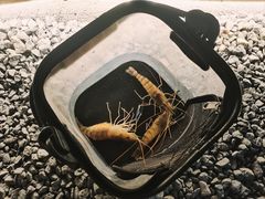 -DGE季风钓虾营地·团建·聚会