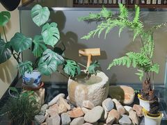 -翔峰炭火鳗鱼(悦泰街里公寓店)