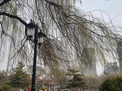 -睦南公园