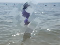 -北戴河圣蓝海洋公园