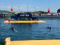 -秦皇岛乐岛海洋王国