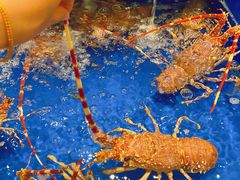 水产区-海景壹号大酒店(惠钱路店)