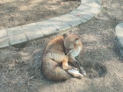-无锡动物园·太湖欢乐园
