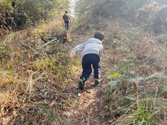 -青龙山国家森林公园