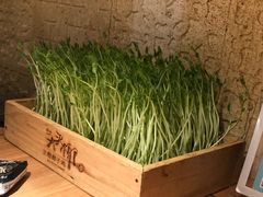 鲜菜豌豆苗-大头椰·椰子鸡火锅(南宁万象城店)