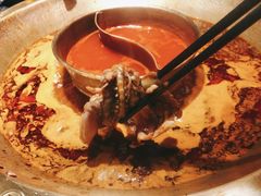 -哥老官重庆美蛙鱼头(虹口龙之梦店)