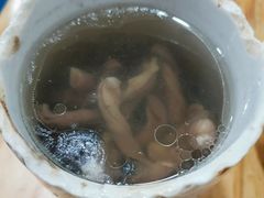 -广达眼镜炖罐(广达店)