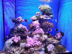 -多彩贵州城极地海洋世界