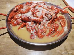 -杨氏青龙虾·羊蝎子(托乐嘉店)