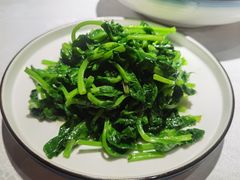 清炒豌豆尖-雲蜀龙阁·金牌水煮鱼(方庄店)