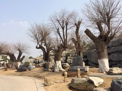 iphone_upload_pic-中国唐苑