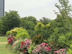 -杭州城北体育公园
