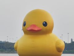 -深圳人才公园