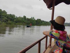 -东寨港红树林旅游区