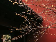 -钱王祠