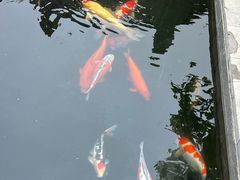 -西安市广仁寺