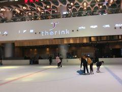 -TheRink大零溜冰场(IFS国金中心店)
