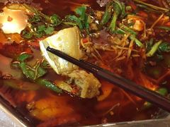 -川道拐耗儿鱼(旗舰店)
