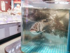 -鸽子侯·家宴·平价海鲜(市图书馆店)