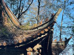 -寂照庵