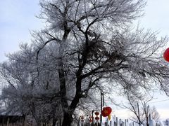 -雾凇岛