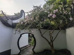 -上海醉白池公园