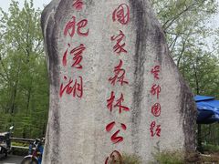 -合肥滨湖国家森林公园