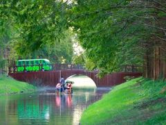 -黄海国家森林公园