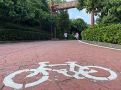 -大屏嶂森林公园