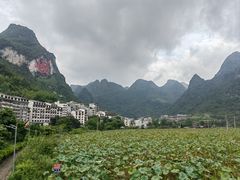 -长寿村