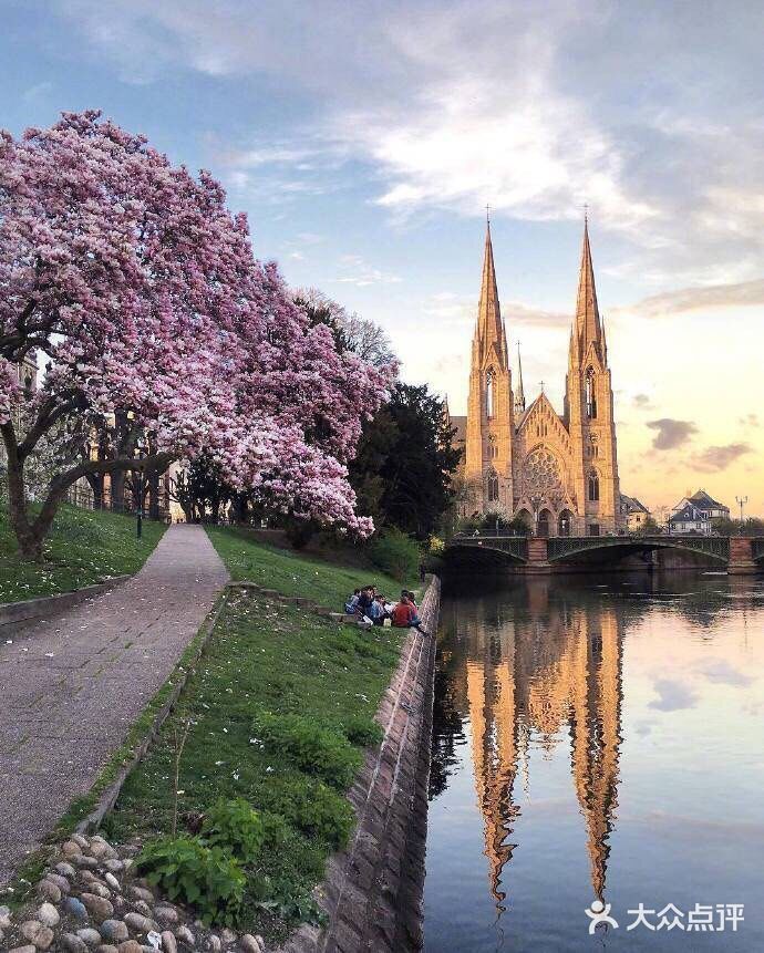 因而该市在语言和文化上兼有法国和德国的特点