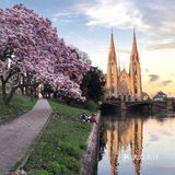 因而该市在语言和文化上兼有法国和德国的特点