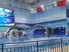 -多彩贵州城极地海洋世界