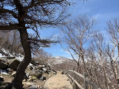 -灵山