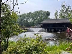 -溱湖国家湿地公园