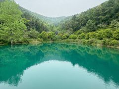 -悦禧耕岛酒店·指月坞餐厅·旺山特色农家乐