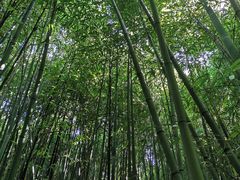 -国家植物园南园