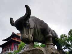 -华西村