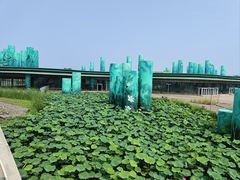 -西安浐灞国家湿地公园