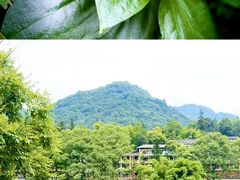 -峨眉山报国寺
