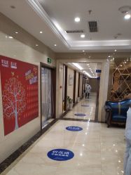 -碧莲盛·不剃发植发