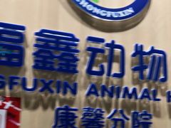-宠福鑫康馨动物医院·骨科·眼科