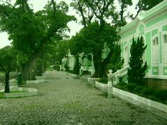 -龙环葡韵住宅式博物馆