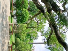 -深圳仙湖植物园