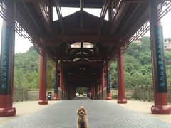 -重庆彩云湖湿地公园
