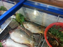 android_upload_pic-高老庄农家菜