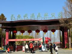 -黄海国家森林公园