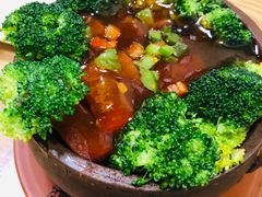 东坡及第-素行天下(国投财富广场店)